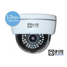  Купольная IP камера IPEYE 3841
