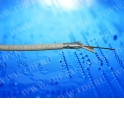 Кабель коаксиальный RG-6U, 75 Ом (CCS, оплетка AL), Cabletech, белый